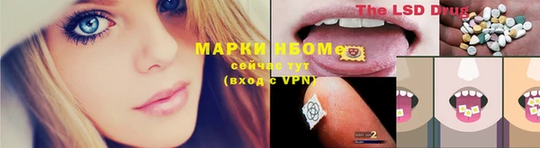 мяу мяу мука Арсеньев