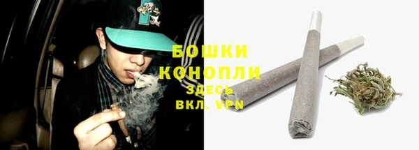 молекула духа Аркадак