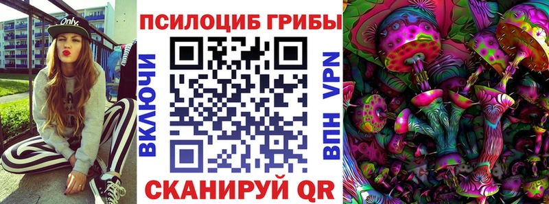 даркнет сайт Нефтекумск Псилоцибиновые грибы мухоморы